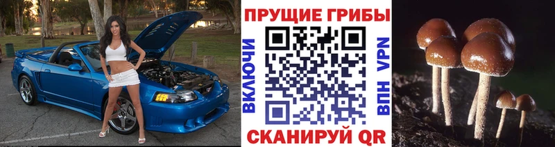 магазин продажи   Белая Калитва  Галлюциногенные грибы Magic Shrooms 