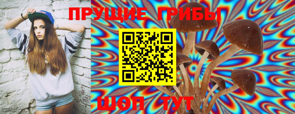 Галлюциногенные грибы MAGIC MUSHROOMS  Белая Калитва 