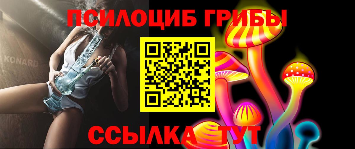 Галлюциногенные грибы мицелий Белая Калитва