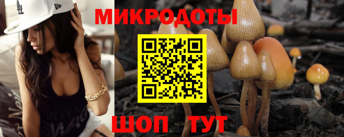 Белая Калитва  Галлюциногенные грибы прущие грибы  Вход с VPN 